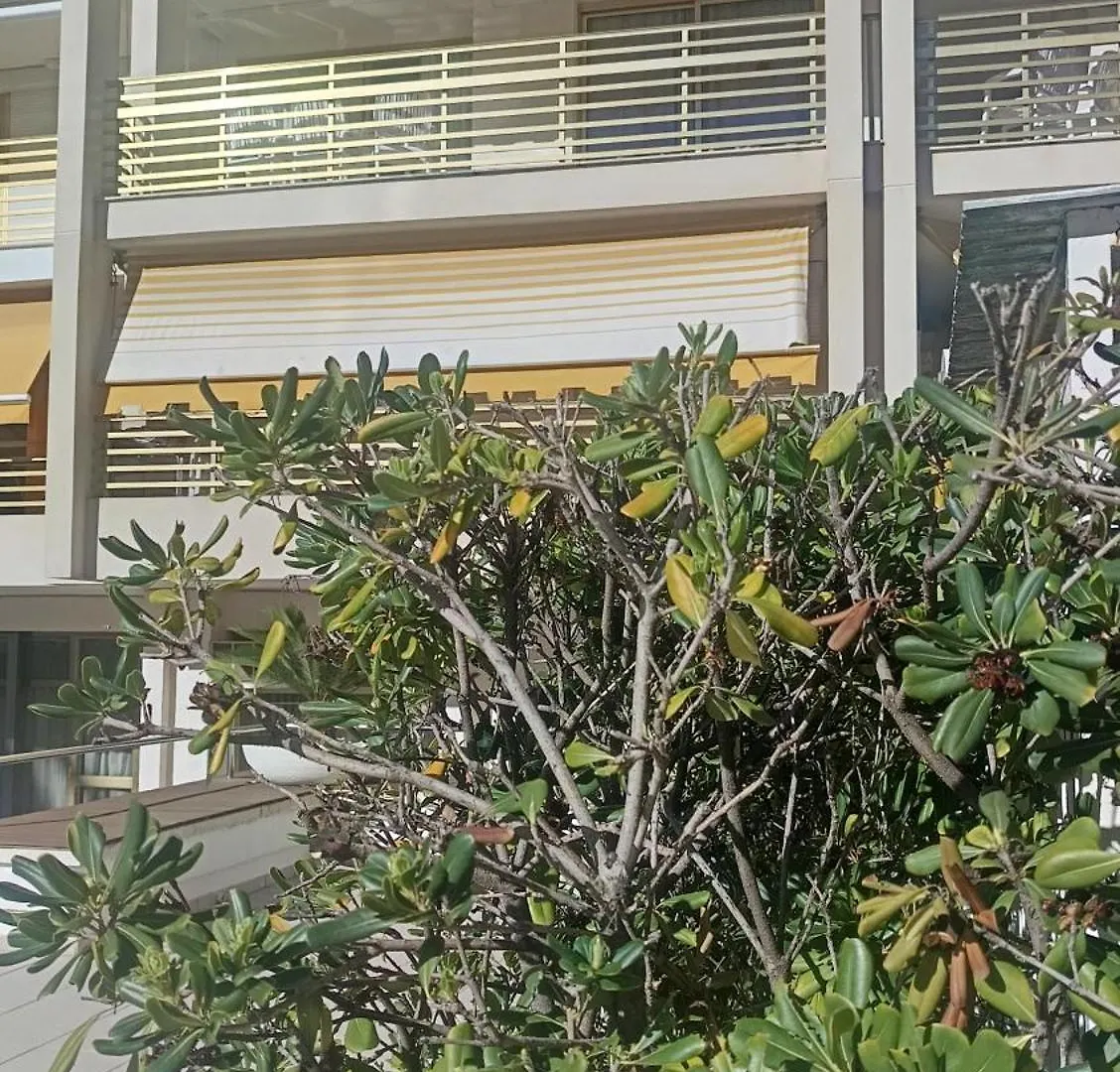 Apartment Rentalmar Novelty Families Only Salou